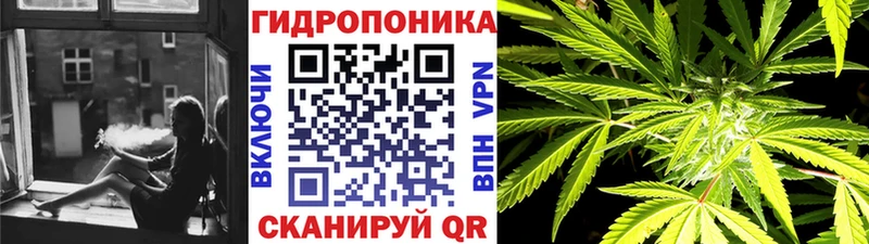 площадка формула  где продают наркотики  Заозёрск  МАРИХУАНА семена 